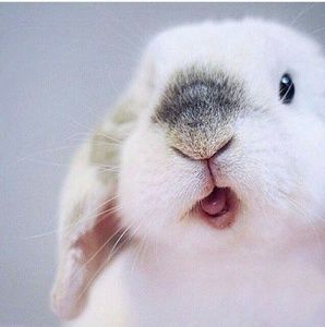 Have a Question? Just Ask=)